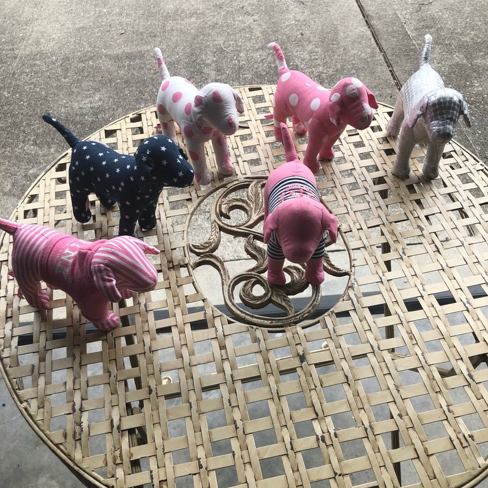 Victoria Secret Puppies 🐶